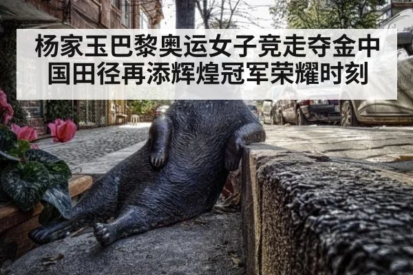 杨家玉巴黎奥运女子竞走夺金中国田径再添辉煌冠军荣耀时刻